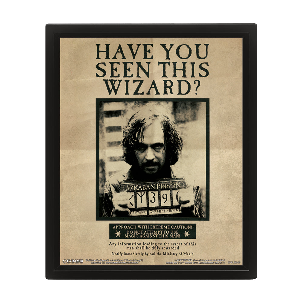 Harry Potter Potter Sirius 3D Framed Art