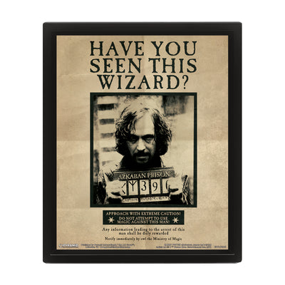 Harry Potter Potter Sirius 3D Framed Art