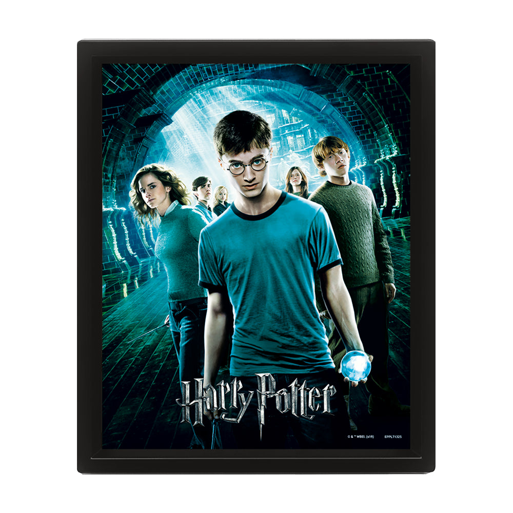 Harry Potter: Order Of Phoenix Framed Art