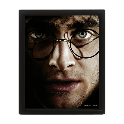 Harry Potter Harry Vs Voldemort Framed Art