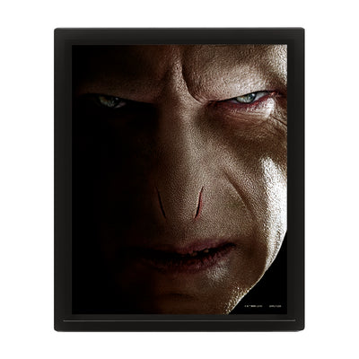 Harry Potter Harry Vs Voldemort Framed Art