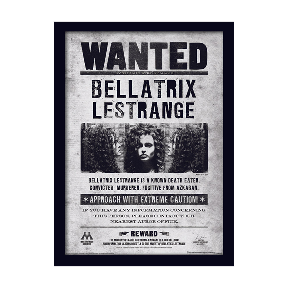 Harry Potter Bellatrix Wanted Framed Art