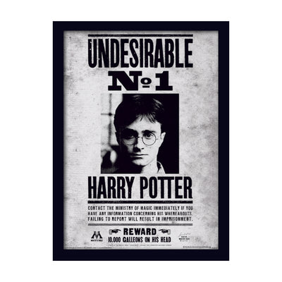 Harry Potter Undesirable No1 Framed Art