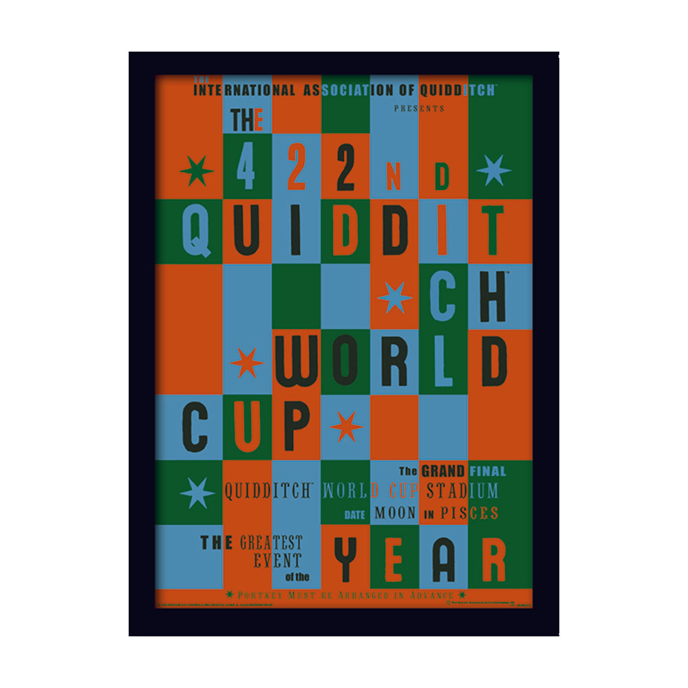 Harry Potter Quidditch World Cup Framed Art