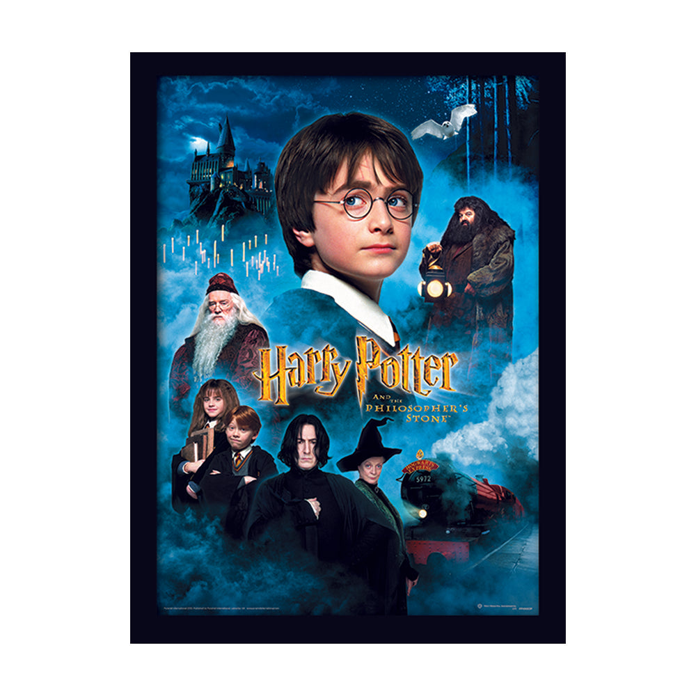 Harry Potter Philosophers Stone Framed Art