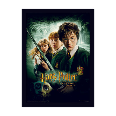 Harry Potter Chamber Of Secrets Framed Art   