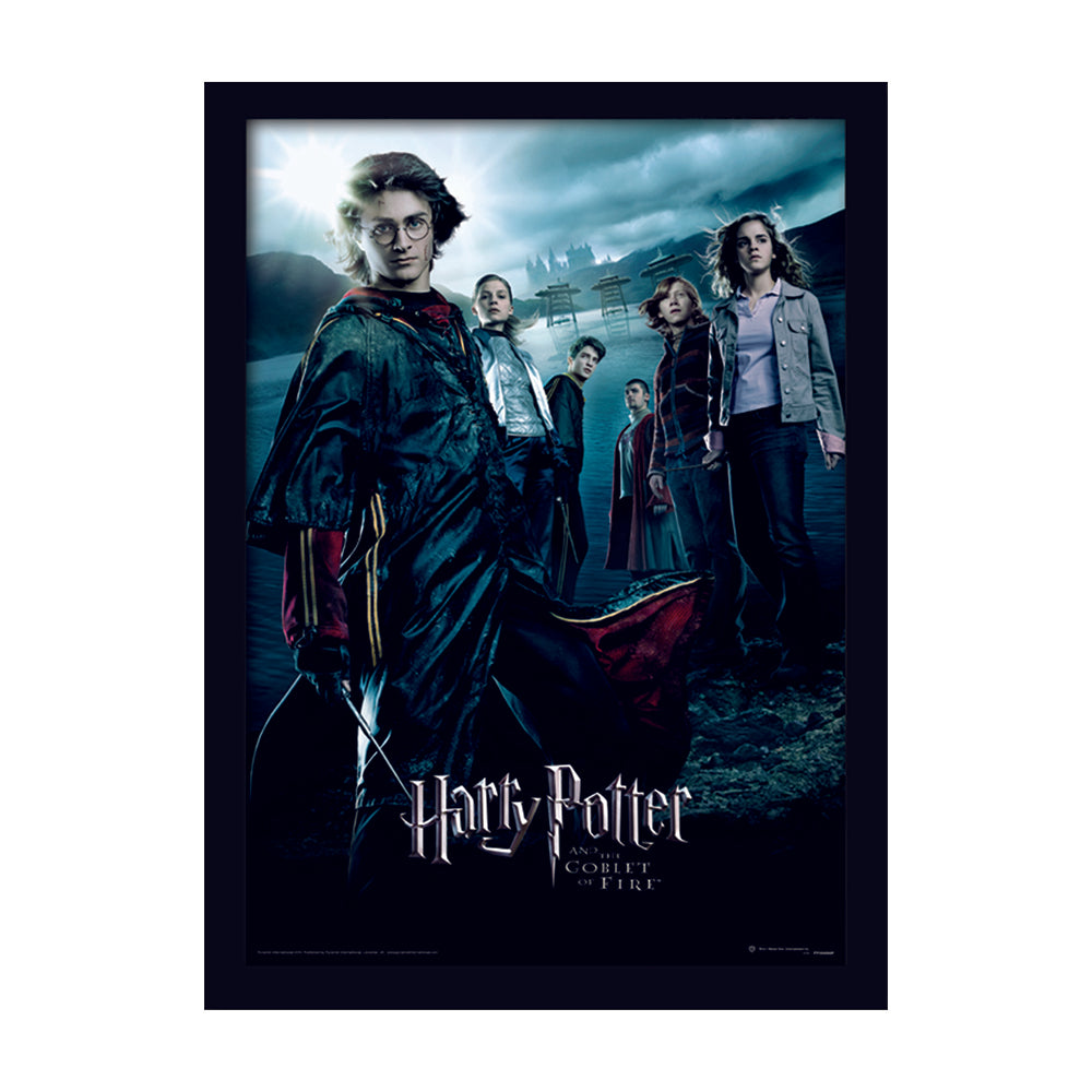 Harry Potter Goblet Of Fire Framed Art   