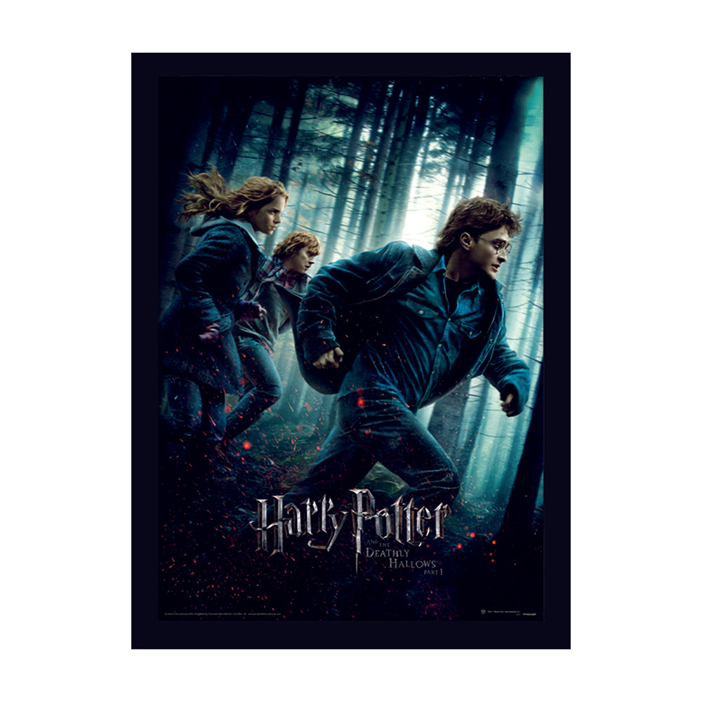 Harry Potter Deathly Hallows Part 1 Framed Art