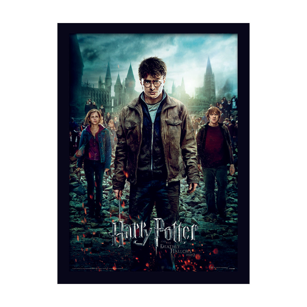 Harry Potter Deathly Hallows Part 2 Framed Art