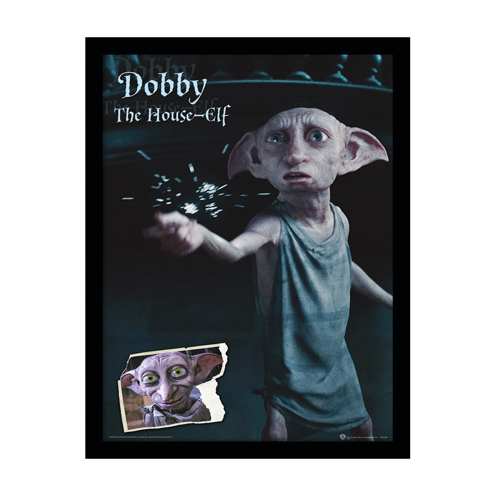 Harry Potter Dobby Framed Art