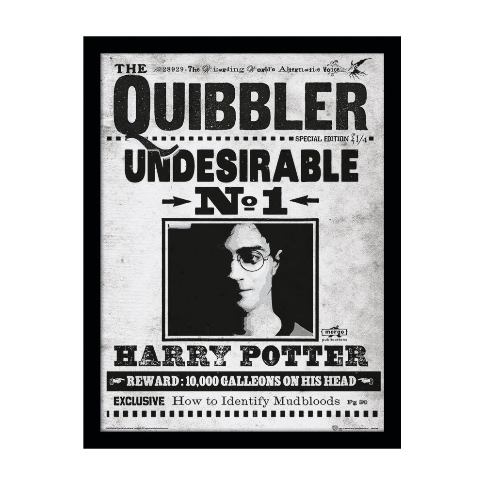 Harry Potter The Quibbler Framed Art