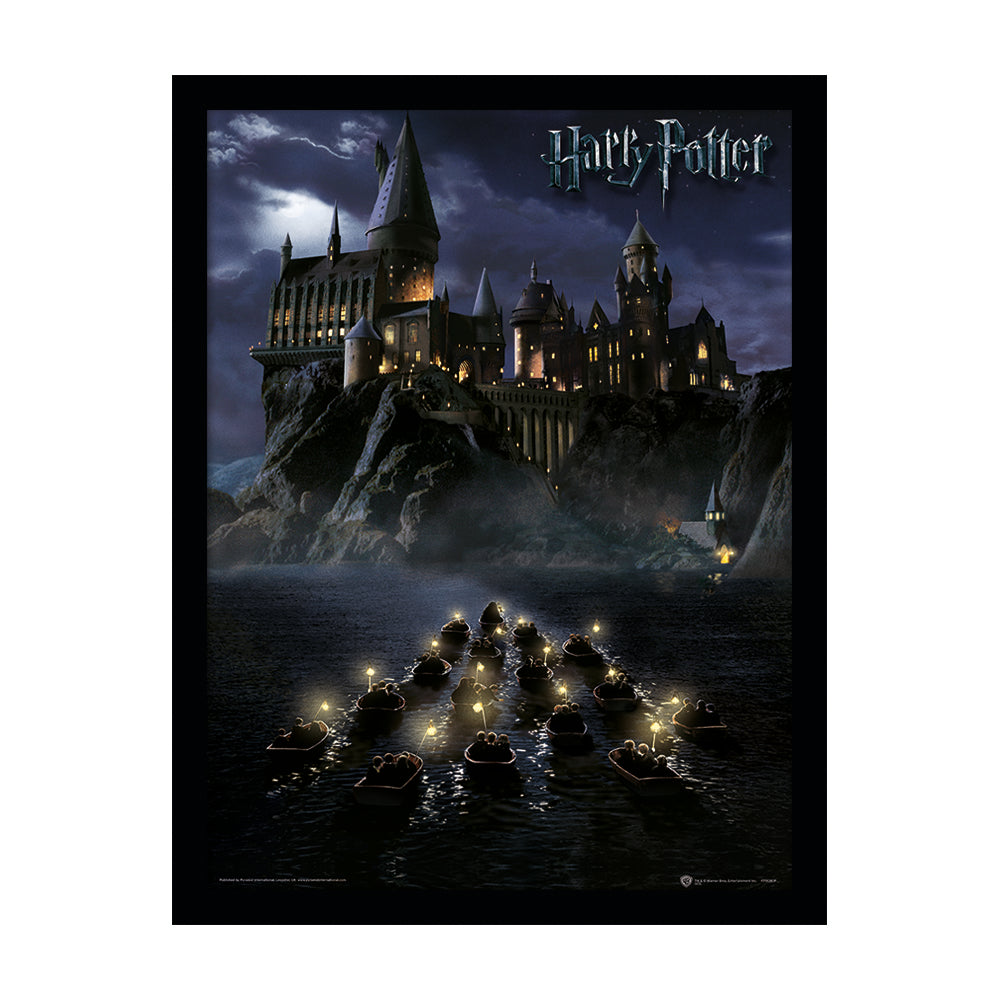 Harry Potter Hogwarts School Framed Art