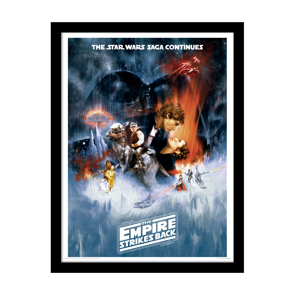 Star Wars The Empire Strikes Back Framed Art