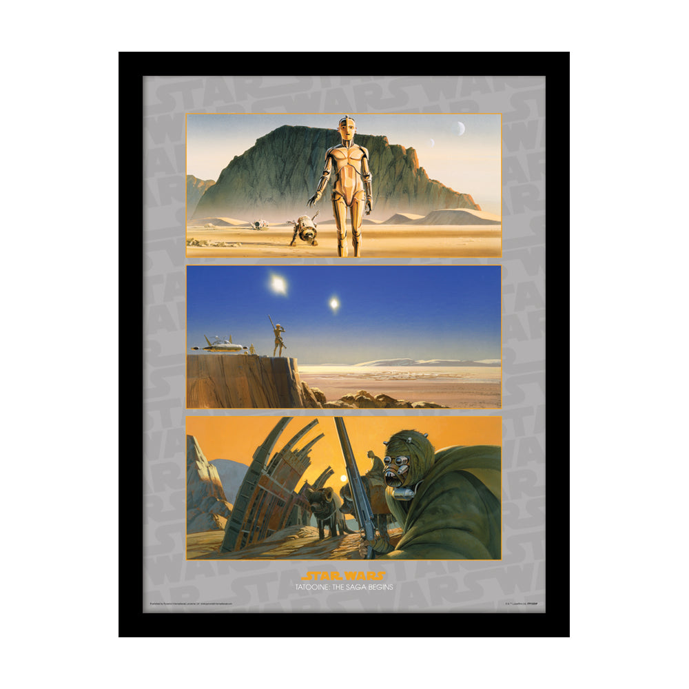 Star Wars Tatooine: The Saga Begins Framed Art