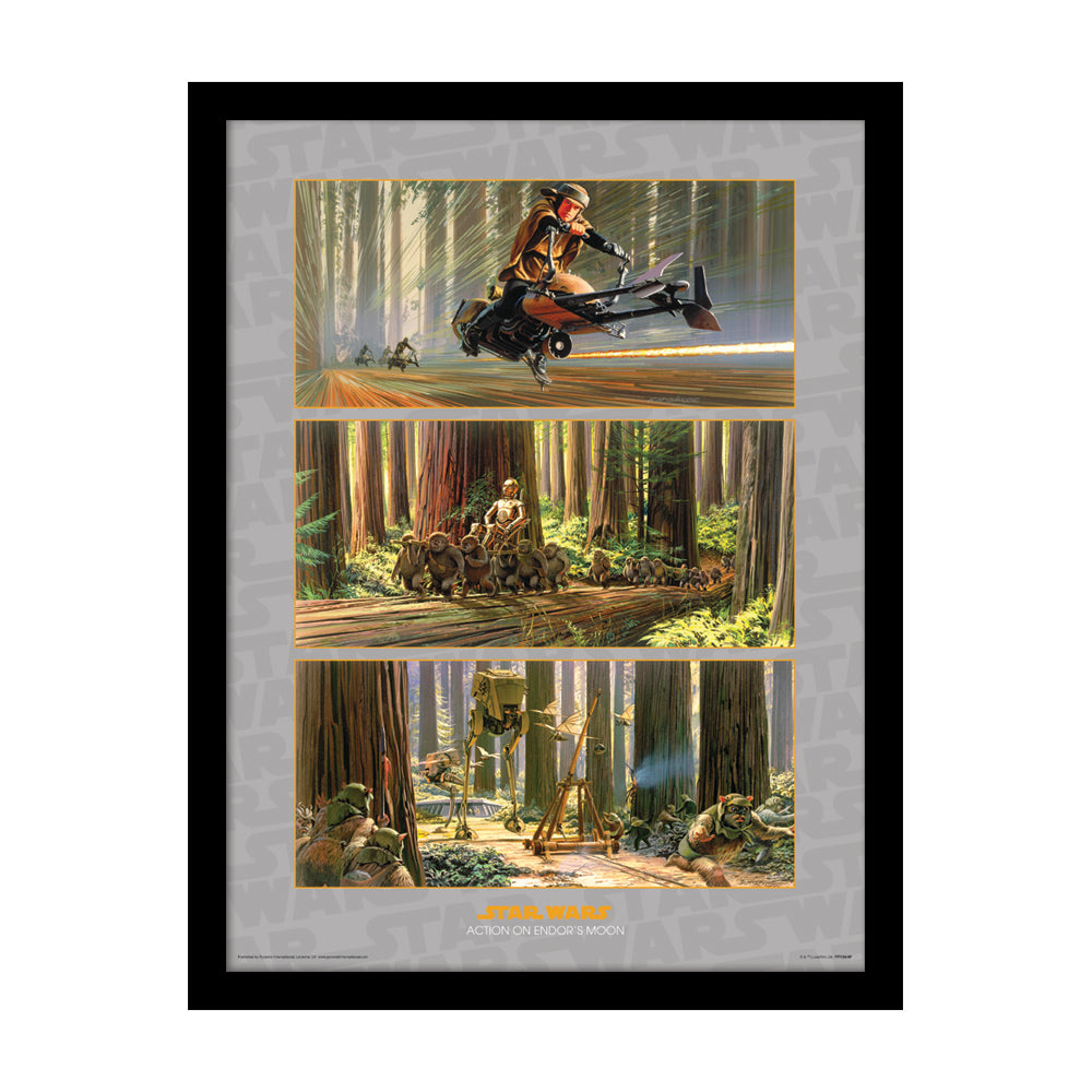 Star Wars Action On Endor's Moon Framed Art