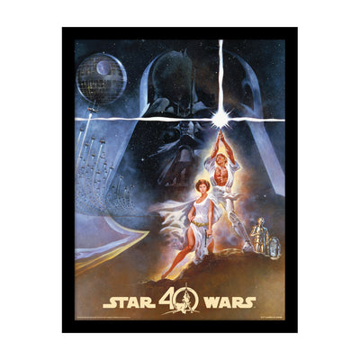 Star Wars 40th Anniversary New Hope Framed Art