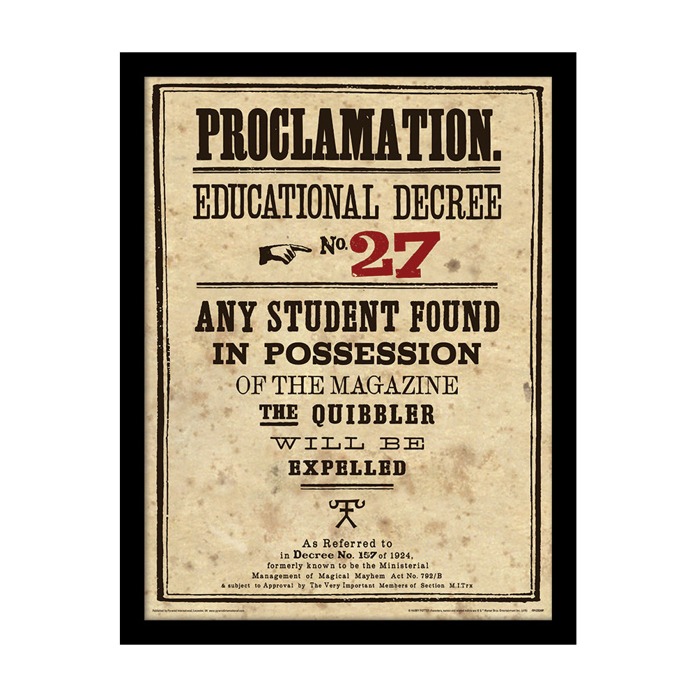 Harry Potter Educational Decree No. 27 Framed Art