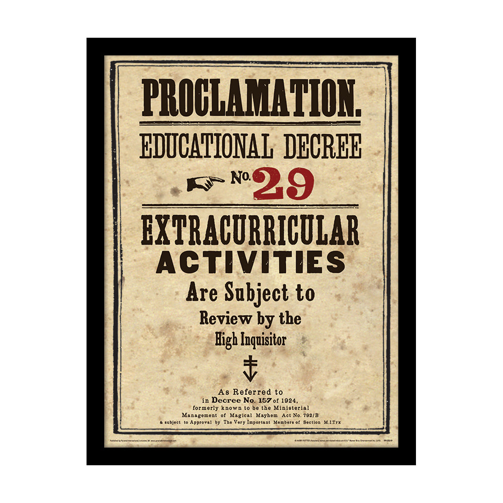 Harry Potter Educational Decree No. 29 Framed Art