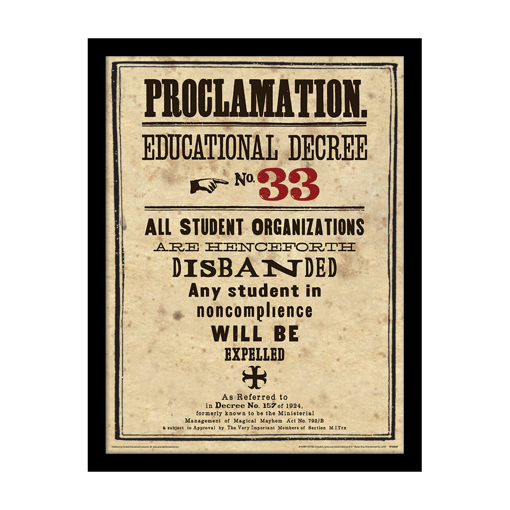 Harry Potter Educational Decree No. 33 Framed Art