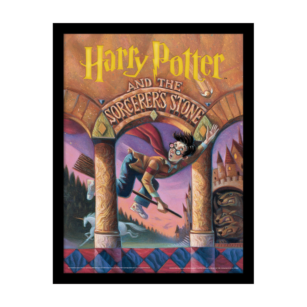 Harry Potter Sorcerer's Stone Book Framed Art