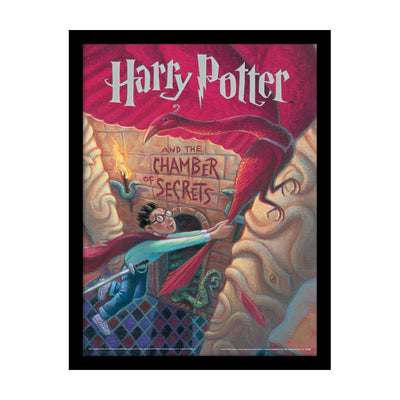 Harry Potter Chamber Of Secrets Book Framed Art