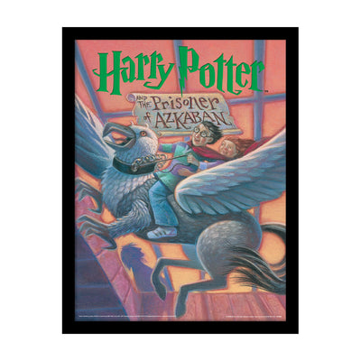 Harry Potter Prisoner Of Azkaban Book Framed Art