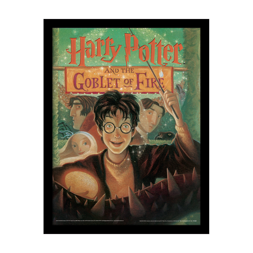 Harry Potter Goblet Of Fire Book Framed Art