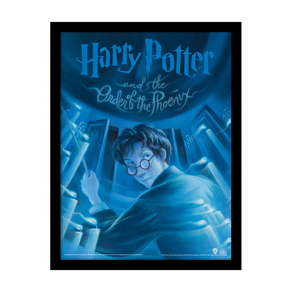 Harry Potter Order Of Phoenix Book Framed Art