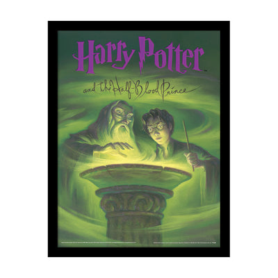 Harry Potter Half-Blood Prince Book Framed Art