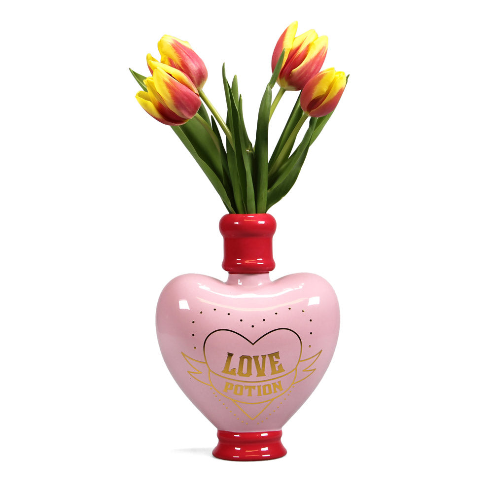 Warner Bros Harry Potter Amortentia Love Potion Shaped Vase