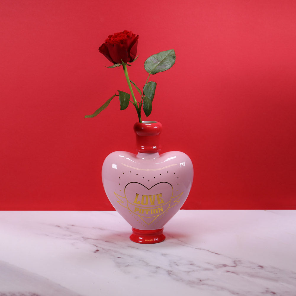 Warner Bros Harry Potter Amortentia Love Potion Shaped Vase