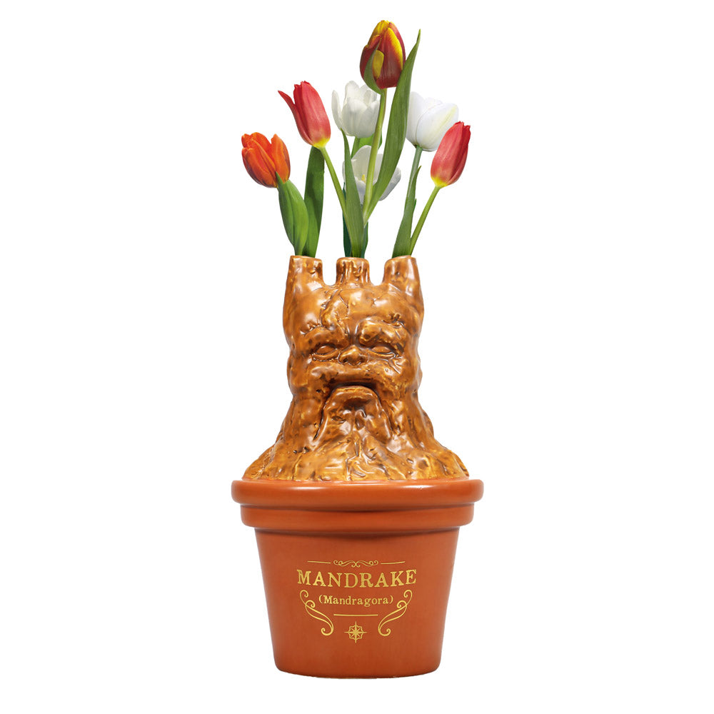 Warner Bros Harry Potter Mandrake Shaped Vase