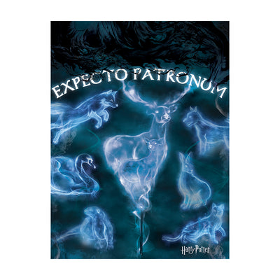 Harry Potter Patronus Canvas 60x80cm