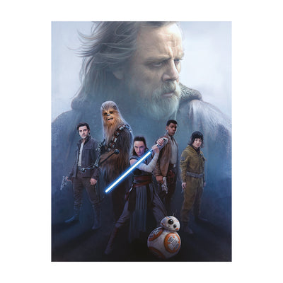 Star Wars: The Last Jedi Hope Canvas 60x80cm