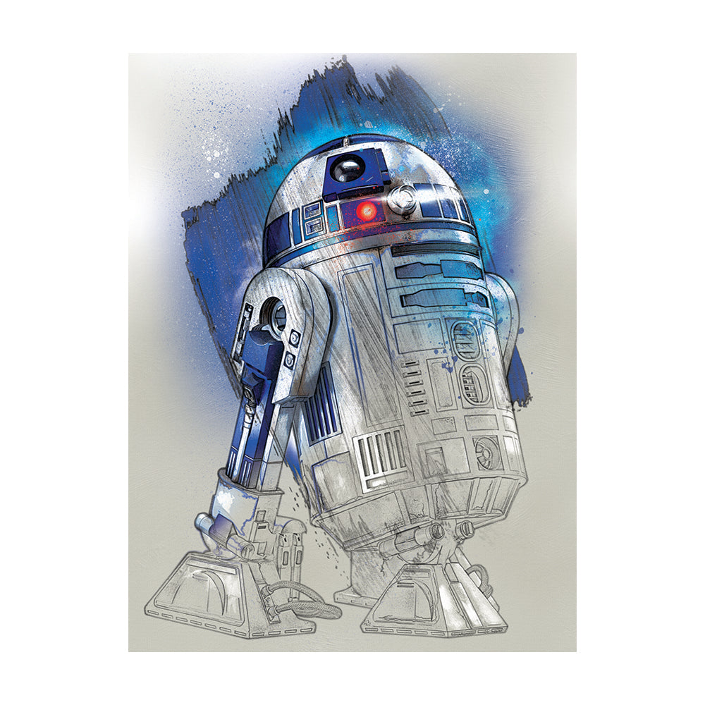 Star Wars: The Last Jedi R2D2 Brushstroke Canvas 60x80cm