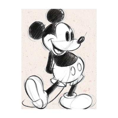 Mickey Mouse Textured Sketch Canvas 60x80cm