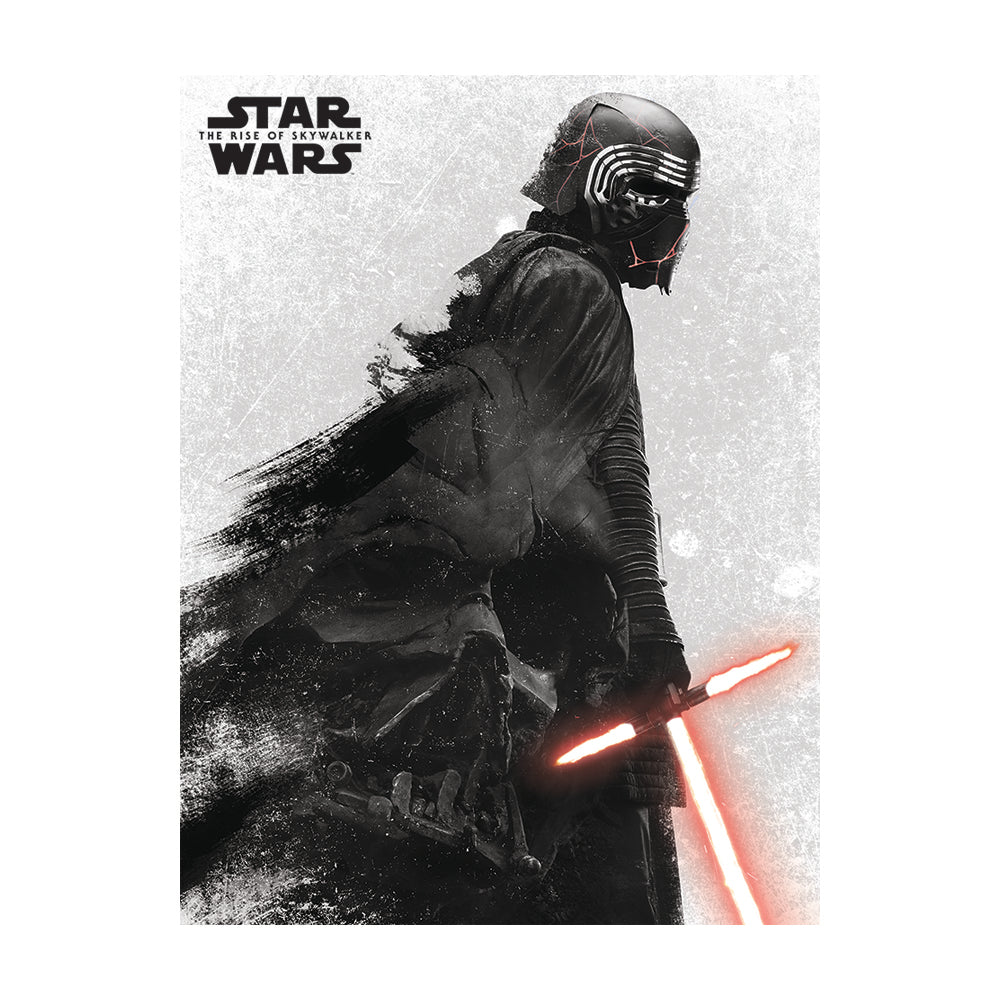 Star Wars: The Rise Of Skywalker Kylo Ren And Vad Canvas 60x80cm