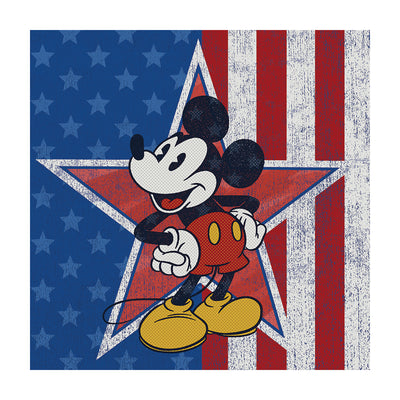 Mickey Mouse American Star Canvas 40x40cm