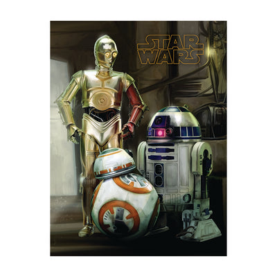 Star Wars Droids Canvas 30x40cm