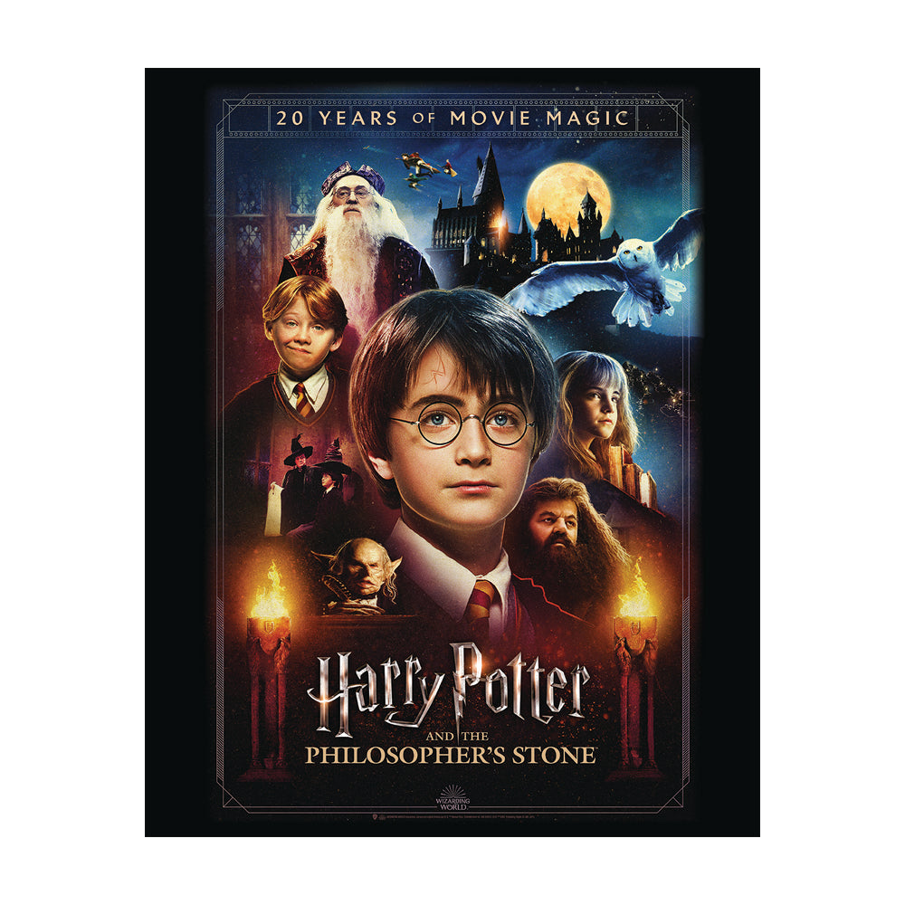 Harry Potter 20 Years Of Movie Magic Canvas 40x50cm