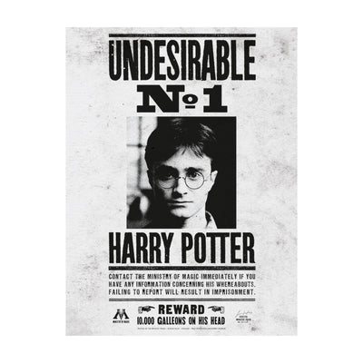 Harry Potter Undesirable No.1 Canvas 60x80cm