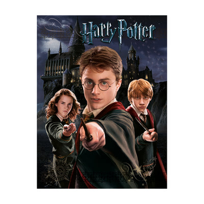 Harry Potter Harry Ron Hermione Canvas 60x80cm