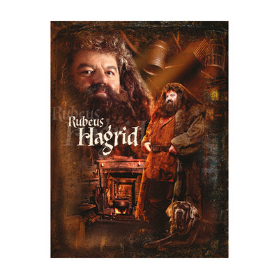 Harry Potter Hagrid Canvas 60x80cm