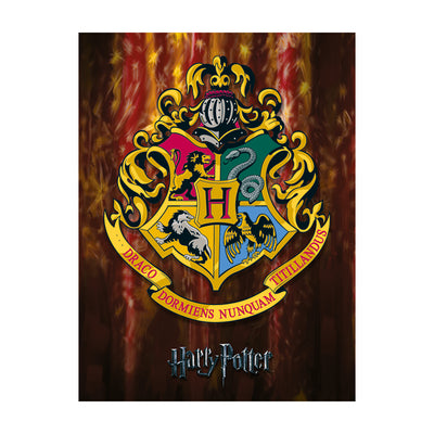 Harry Potter Hogwarts Crest Canvas 60x80cm