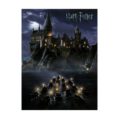 Harry Potter Hogwarts School Canvas 60x80cm