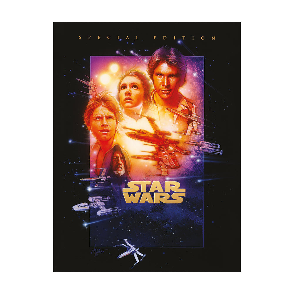 Star Wars Episode IV A New Hope Canvas 60x80cm