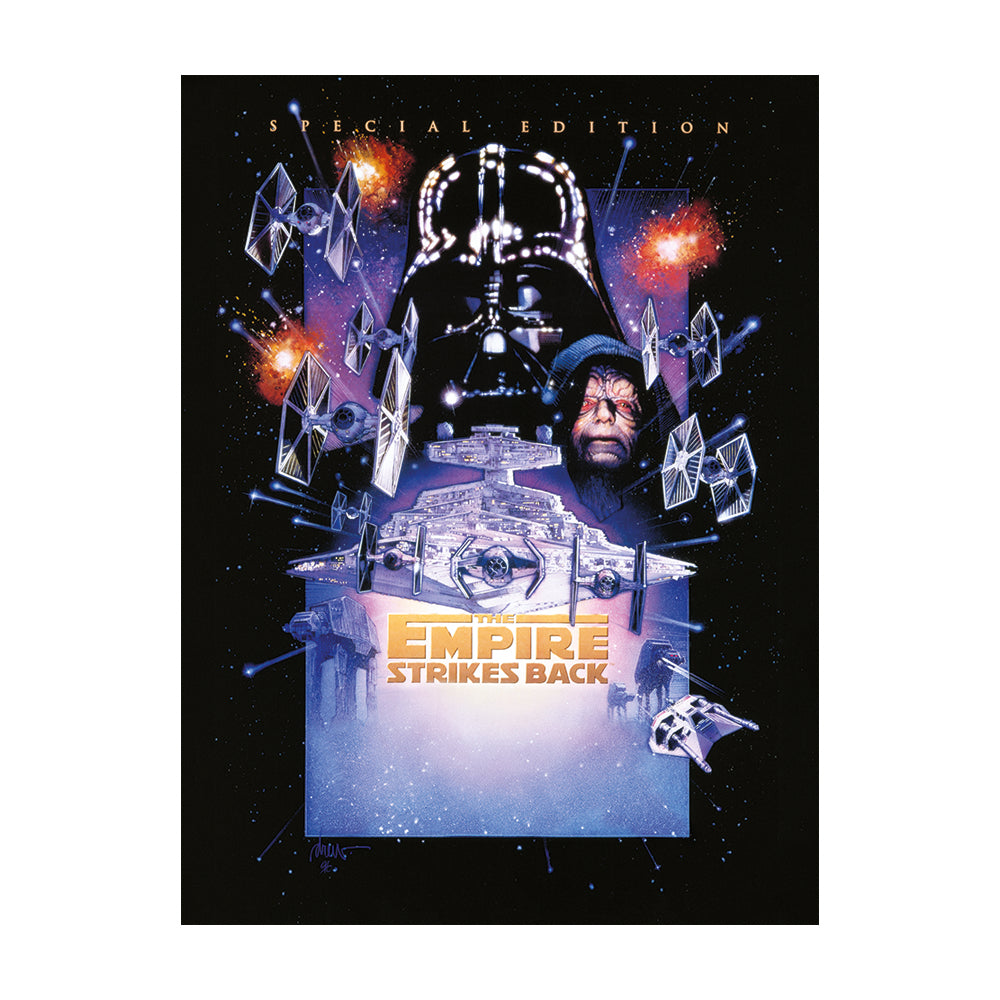 Star Wars Episode V The Empire Strikes Back Canvas 60x80cm