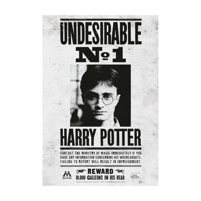 Harry Potter Undesirable No.1 Canvas 30x40cm