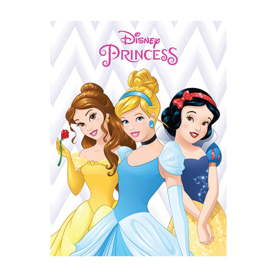 Disney Princess Belle, Cinderella And Snow White Canvas 30x40cm