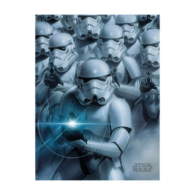 Star Wars Stormtroopers Canvas 30x40cm